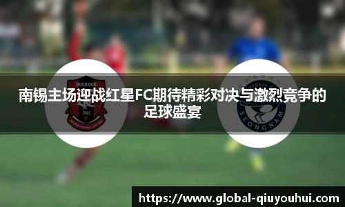 南锡主场迎战红星FC期待精彩对决与激烈竞争的足球盛宴